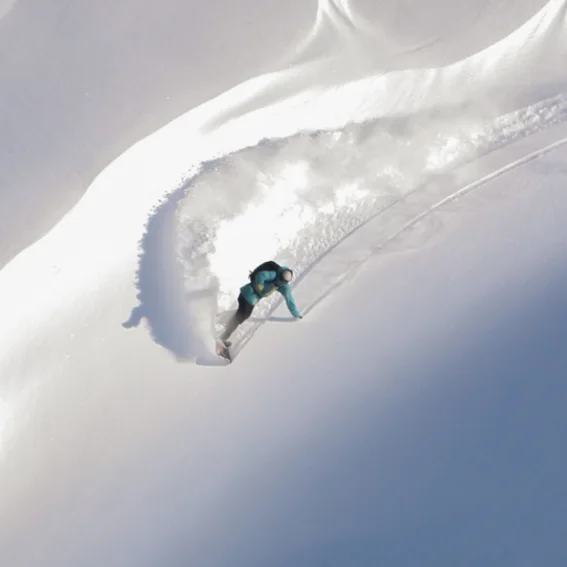 A single snowboard track curving through untracked snow.